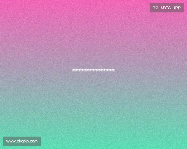 雷恩城市发展与文化特色研究：从历史遗产到现代化转型的探索