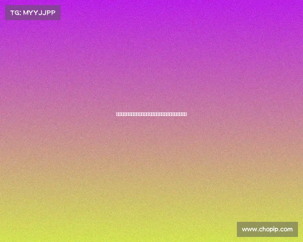 聚焦球队老板：如何通过战略布局与管理决策引领球队走向辉煌